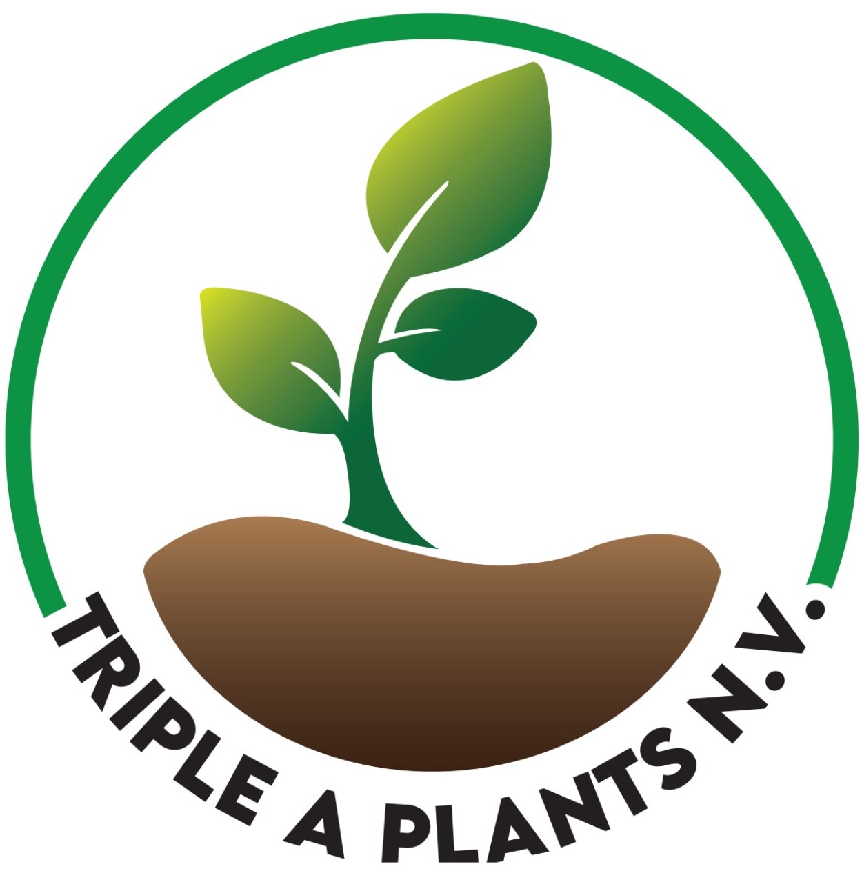 Triple A Plants NV 